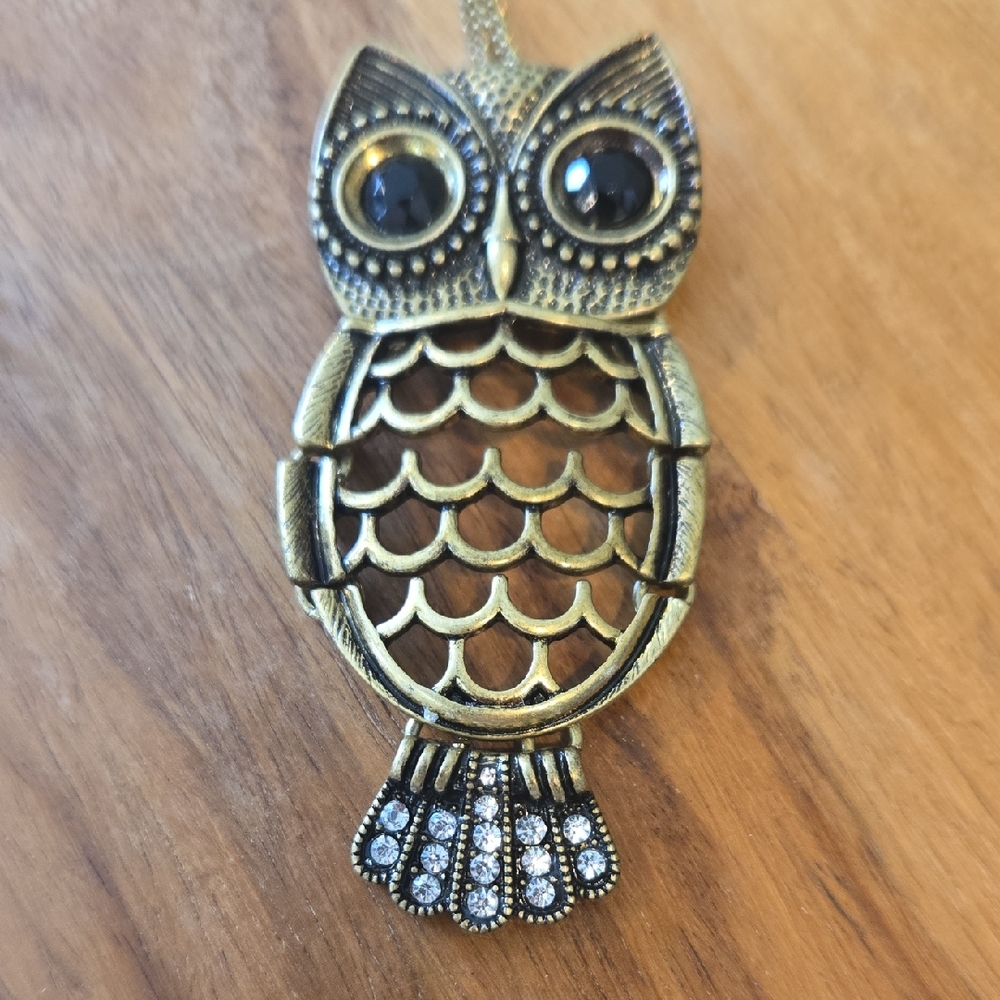 Vintage Gold/Bronze Owl Pendant Long Necklace